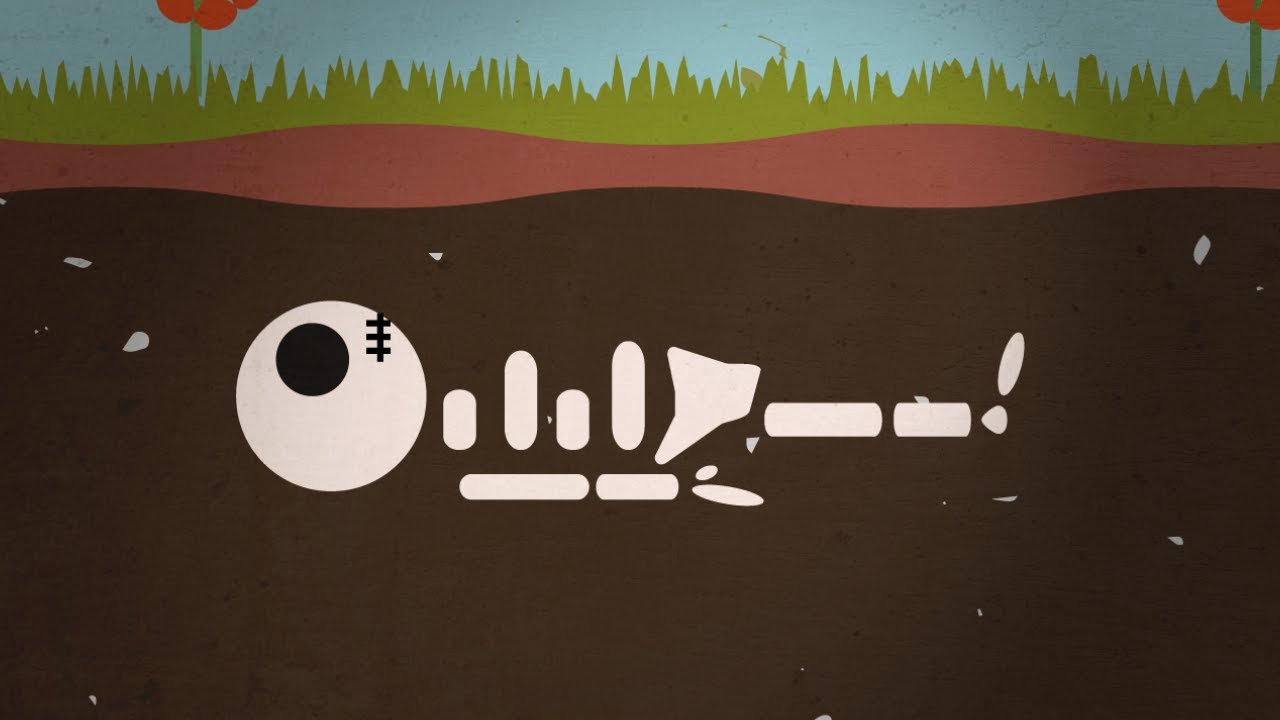 How Long Do Bones Last After Death Do Skeletons